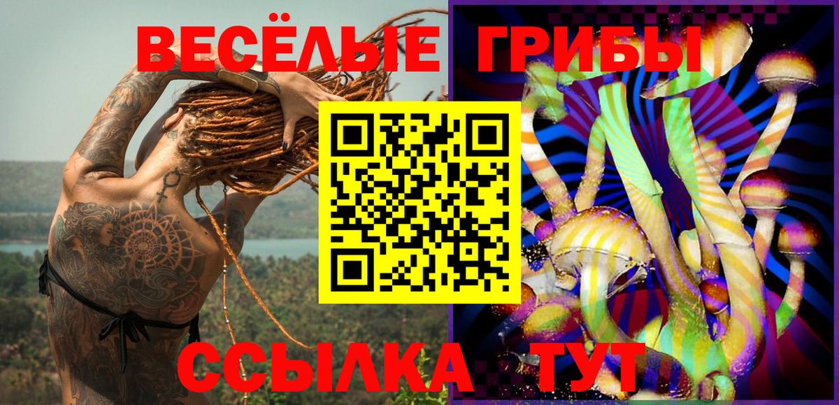 хочу   Галлюциногенные грибы ЛСД  Новомосковск  Галлюциногенные грибы мицелий 