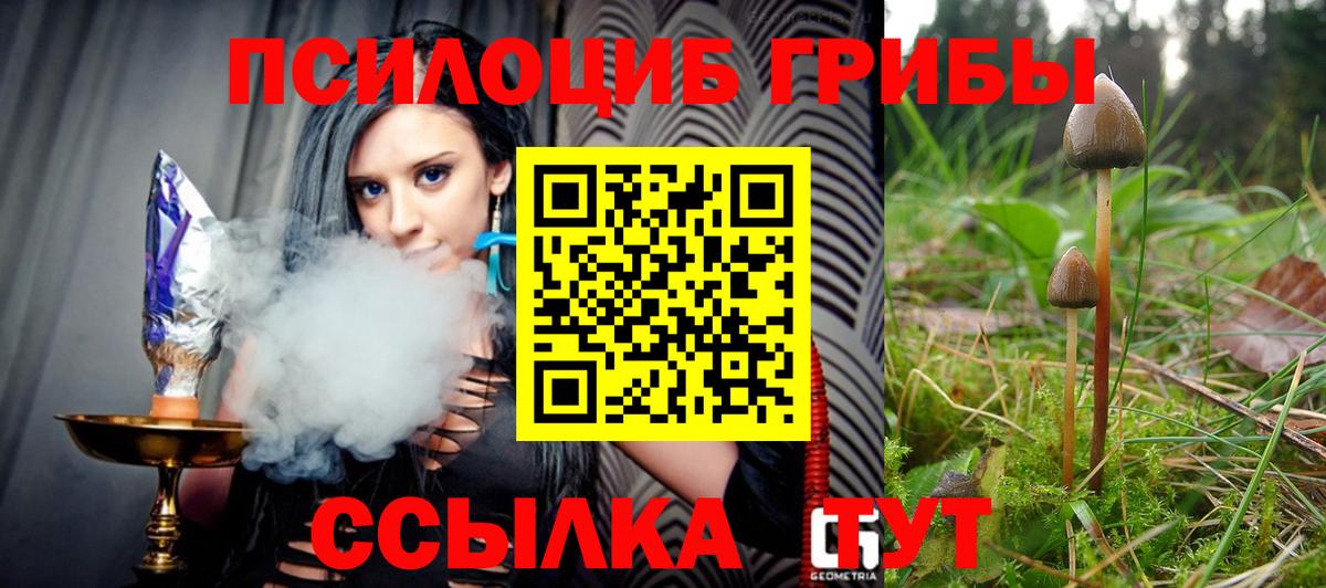 Псилоцибиновые грибы Magic Shrooms Новомосковск
