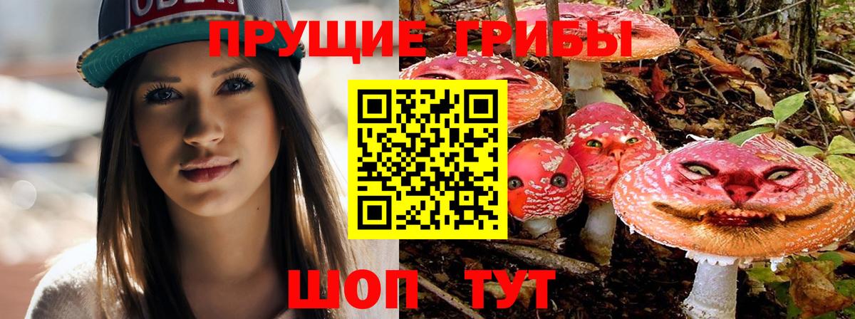 Галлюциногенные грибы Magic Shrooms Новомосковск