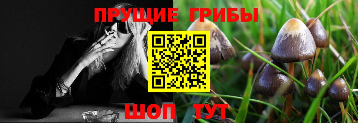 Новомосковск  Псилоцибиновые грибы мухоморы  Вход с VPN 