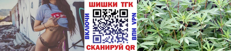 купить наркотики цена  Новомосковск  Бошки марихуана тримм 